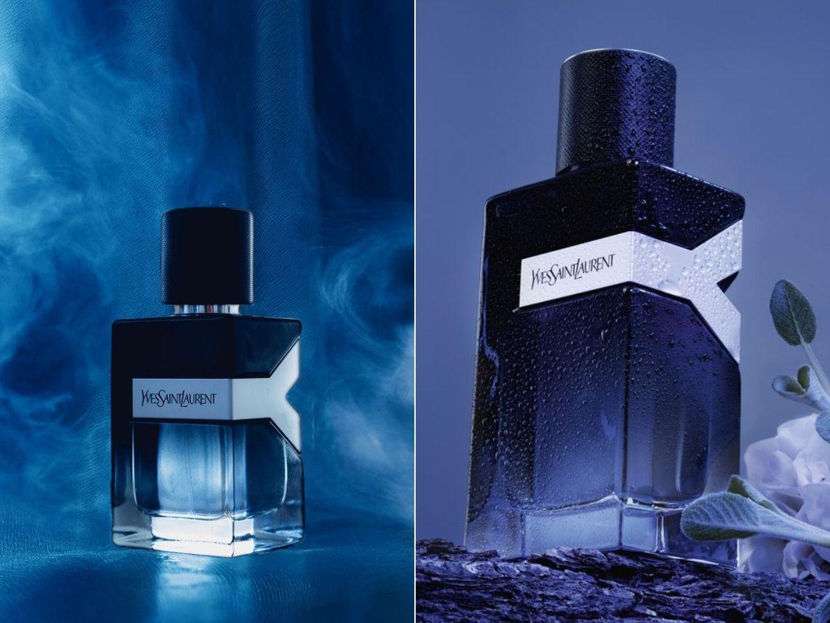 YSL Y EDP là một mùi hương nước hoa hoa nam hiện đại cho mùa thu đông