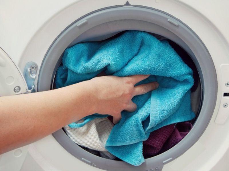  Vệ Sinh Và Bảo Quản Quần Short 