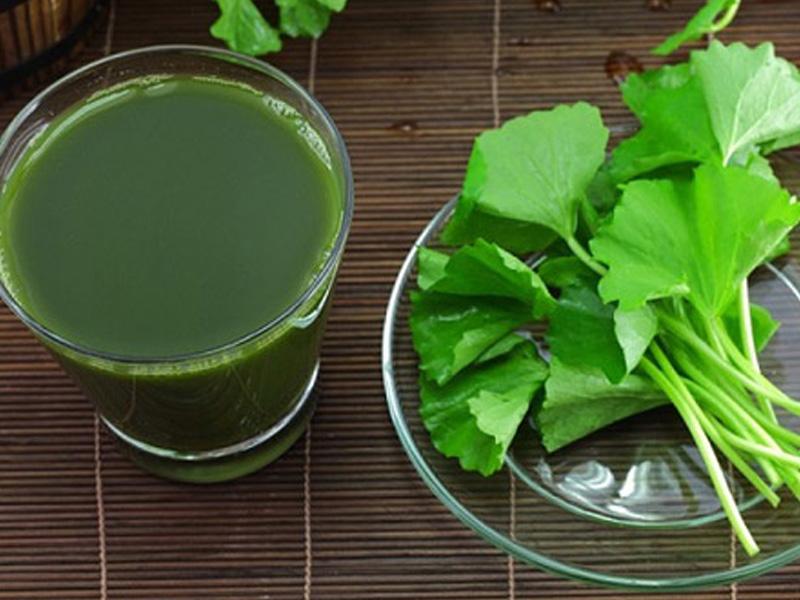 Sử dụng rau má với liều lượng hợp lý