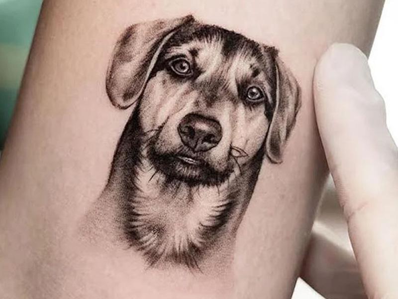 Hình xăm động vật