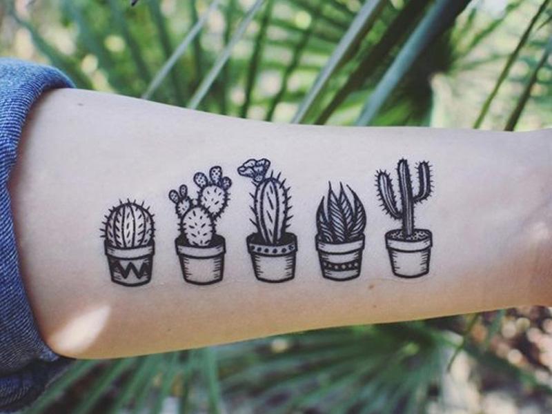 Hình xăm cây xương rồng