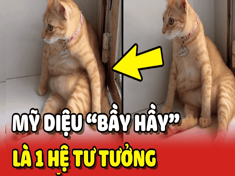 Mỹ Diệu - một hiện tượng mạng