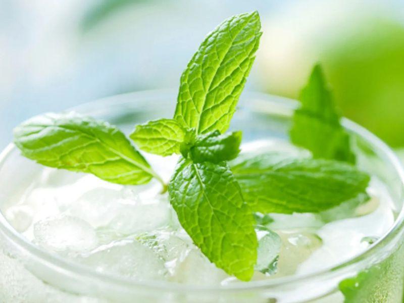 mojito-la-gi
