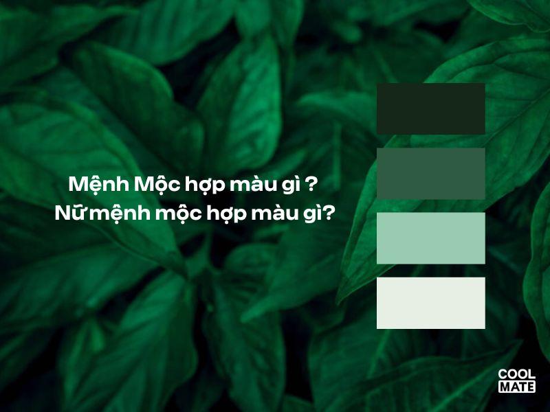 Lựa chọn màu sắc phù hợp với người mệnh Mộc