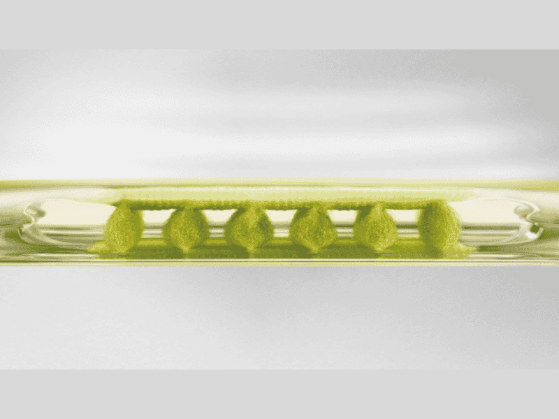 Cấu tạo của đệm khí Zoom Air