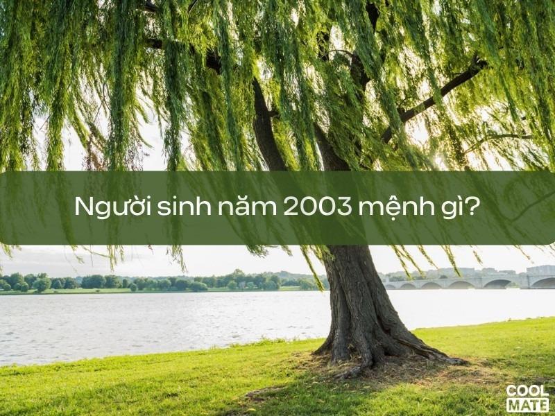Người sinh năm 2003 thuộc mệnh Dương Liễu Mộc