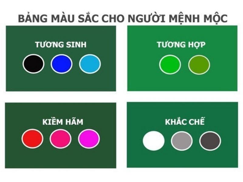 Sinh năm 2003 hợp màu gì, kỵ màu gì?