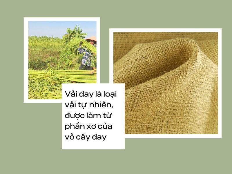 Vải đay là gì?