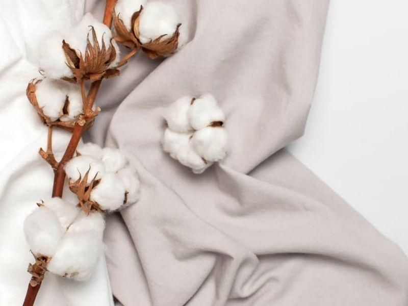 wK3czri0Lu4X-XbWM9q_