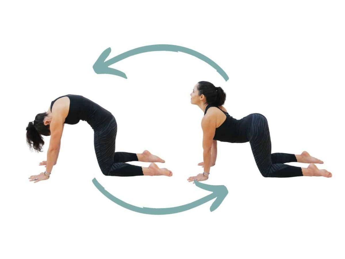 Tư thế mèo bò (Marjaryasana to Bitilasana)
