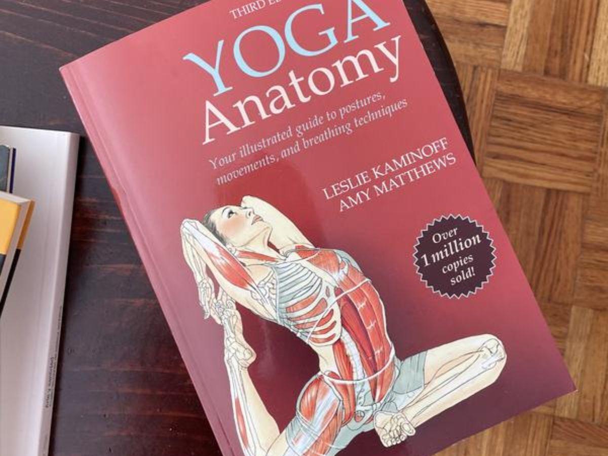 Cung cấp một cái nhìn chi tiết về giải phẫu học trong yoga