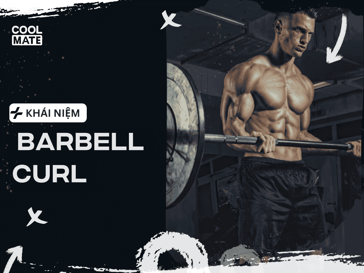 Barbell Curl là một bài tập hình thể hỗ trợ tăng cường cơ cẳng tay