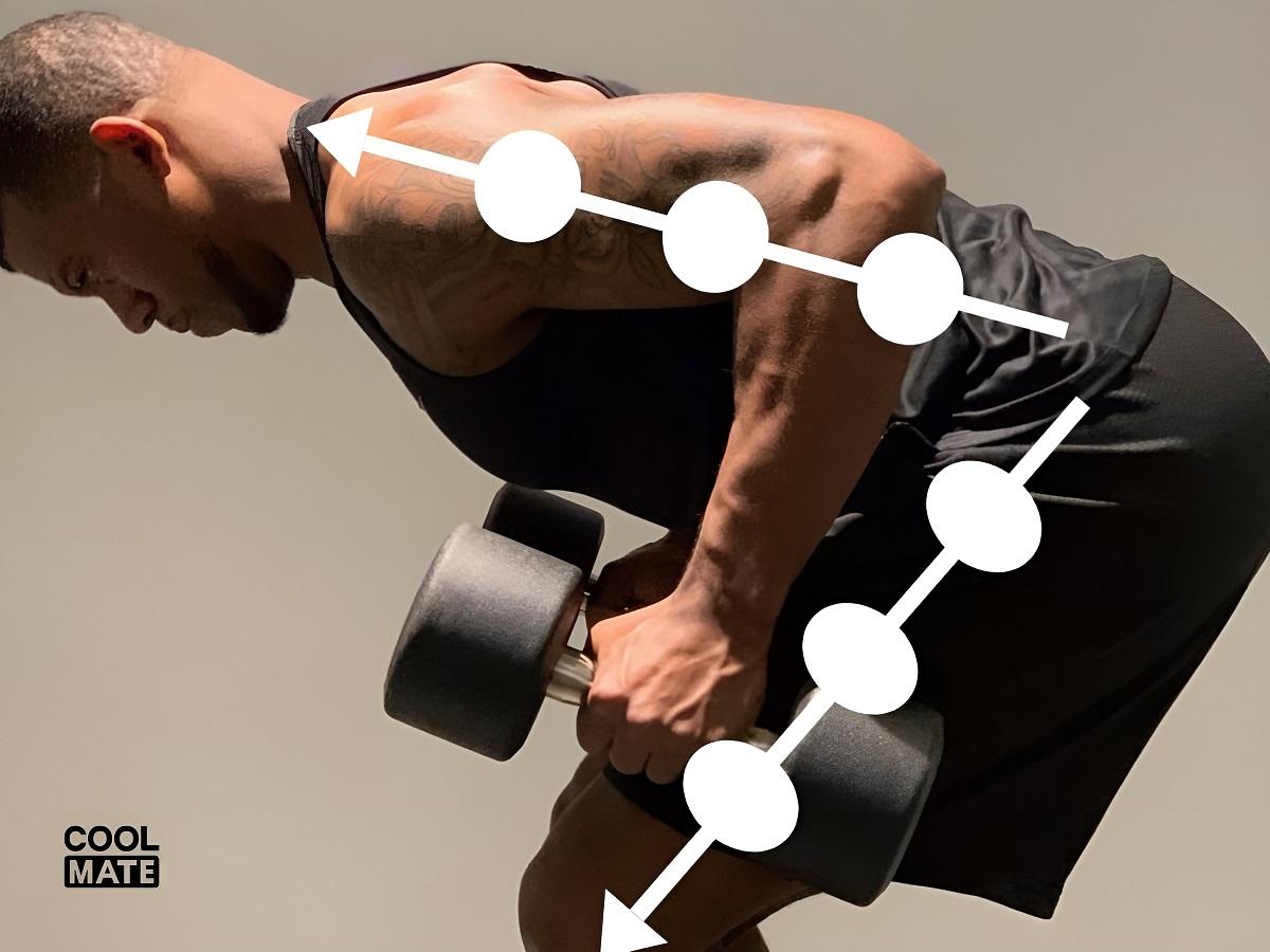 Bài tập tay sau Bent-Over Horse Stance Dumbbell Rows