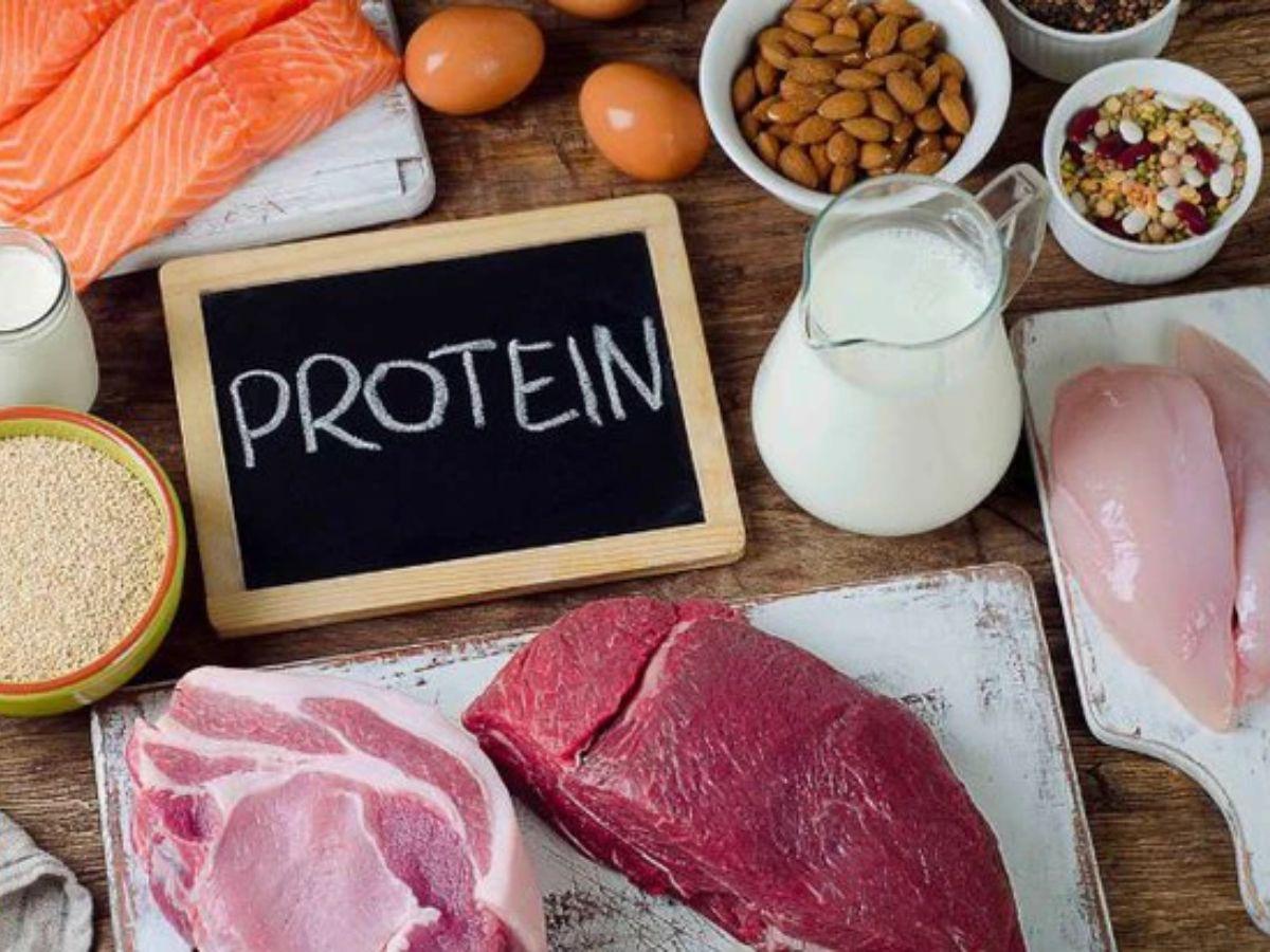 Cần nạp dưỡng chất protein cho cơ thể sau buổi tập gym