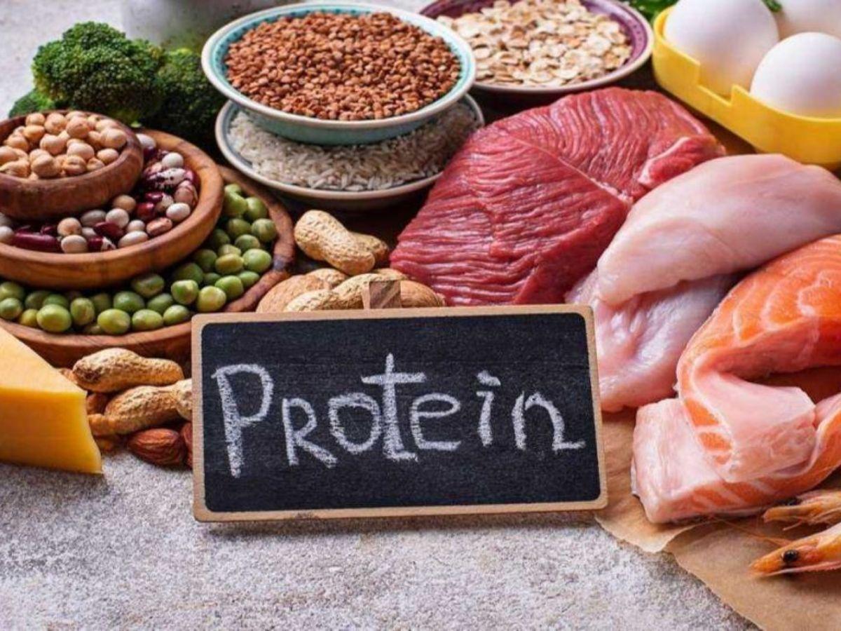 Thành phần dinh dưỡng trong các loại mass gainer chủ yếu là protein