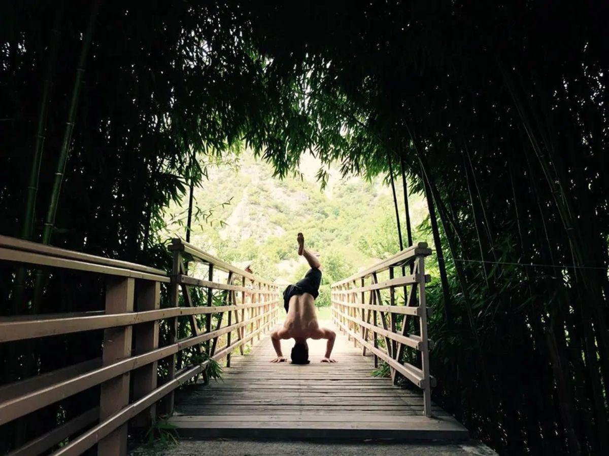 Một Yogi là người nam theo đuổi Yoga với một thái độ nghiêm túc