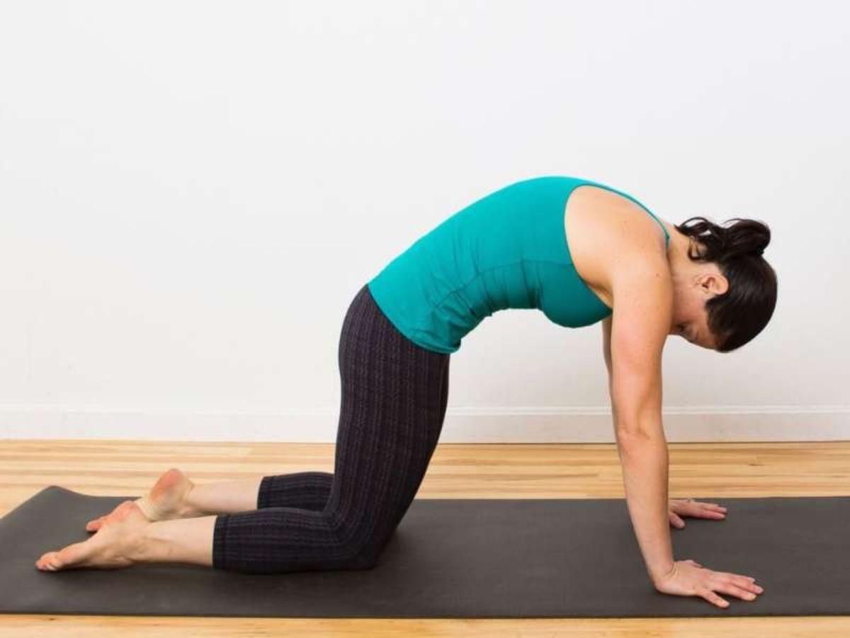 Thể Thao Kim Thành cung cấp thảm lót tập Gym uy tín