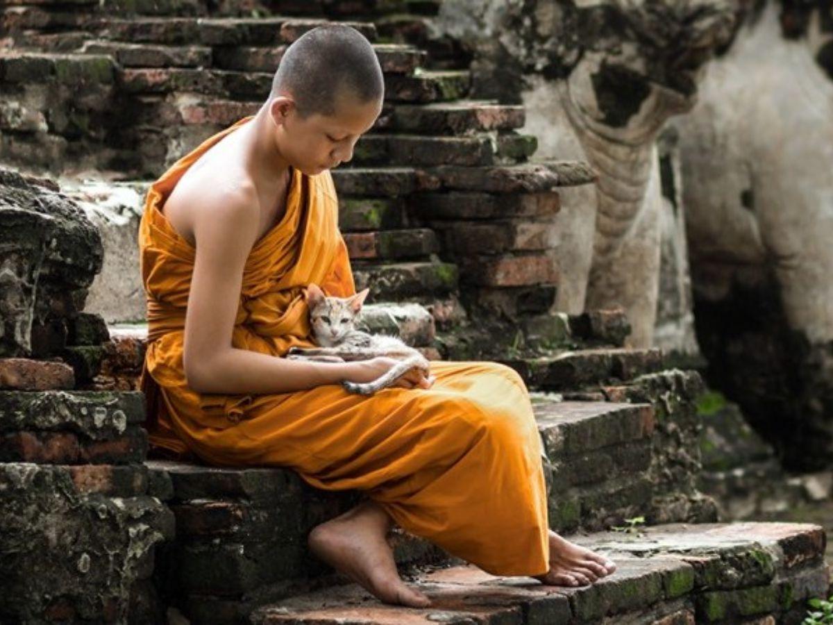 Yogi vẫn duy trì các mối quan hệ gia đình, công việc và xã hội bình thường