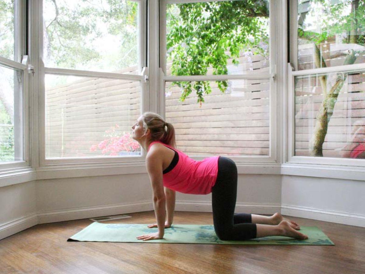 Những lợi ích vàng cho sức khỏe mà Backcare yoga đem lại