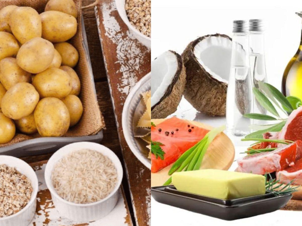 Tinh bột và chất béo là nguồn năng lượng giúp cơ thể duy trì cường độ tập luyện