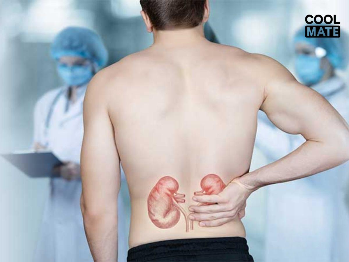 Thận cũng có nguy cơ bị ảnh hưởng nếu không mặc quần lót