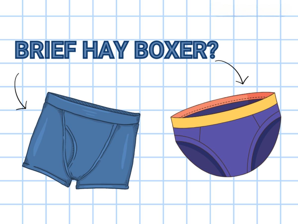 Phân biệt quần Brief và quần Boxer theo chất liệu