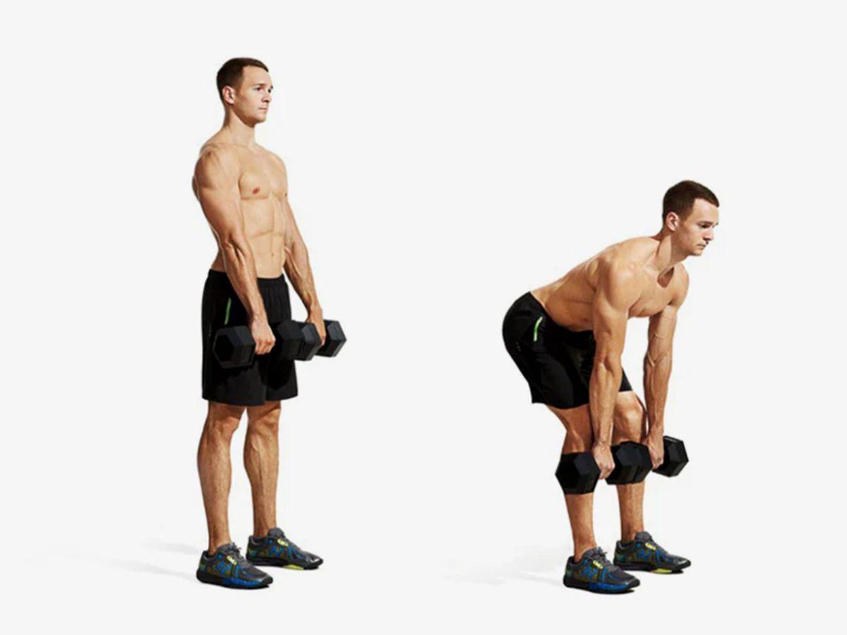 Stiff - Legged Dumbbell Deadlift 