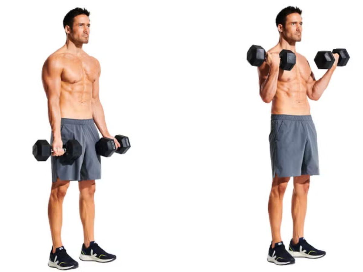 Dumbbell Bicep Curl 