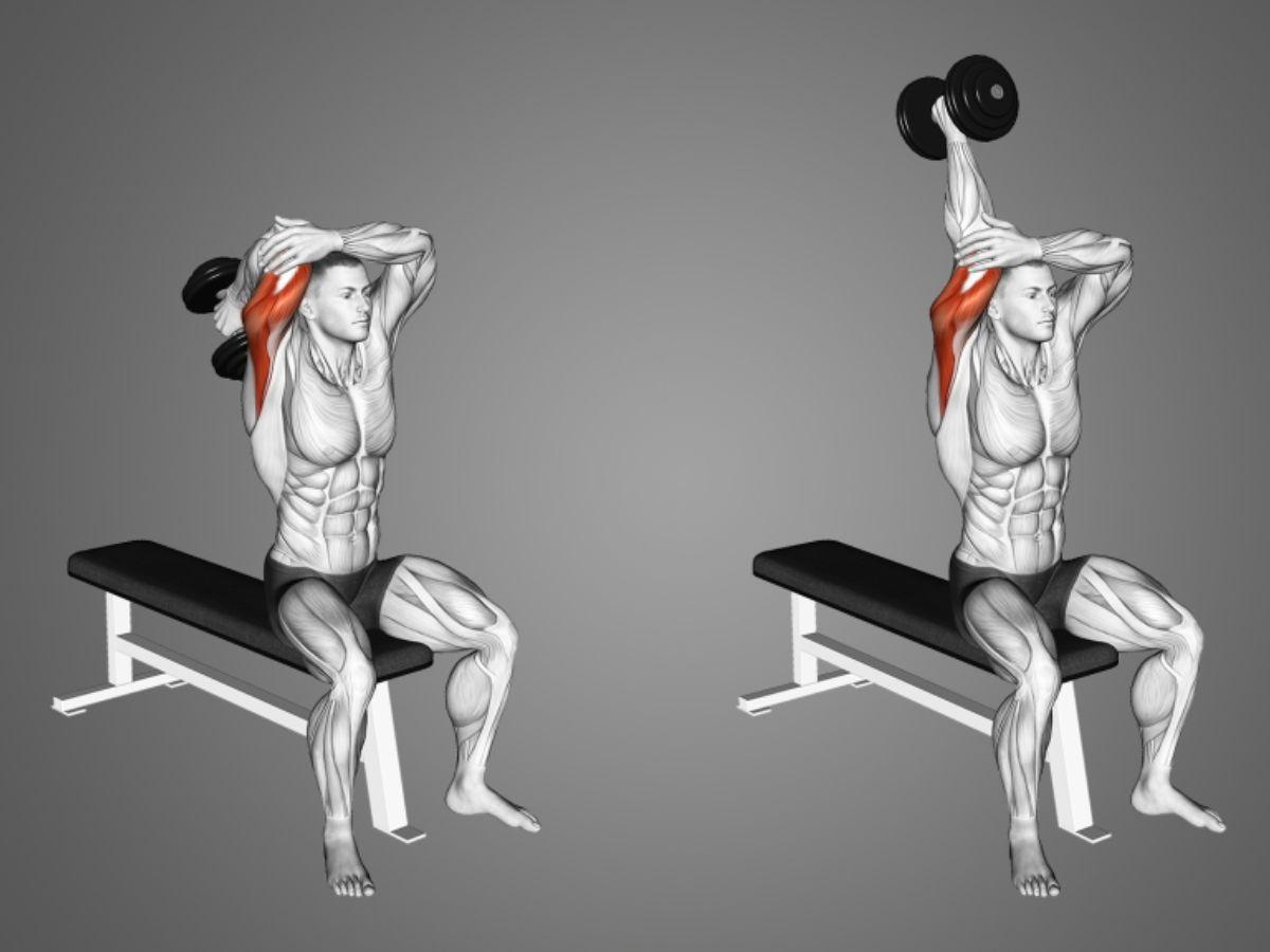Triceps extensions