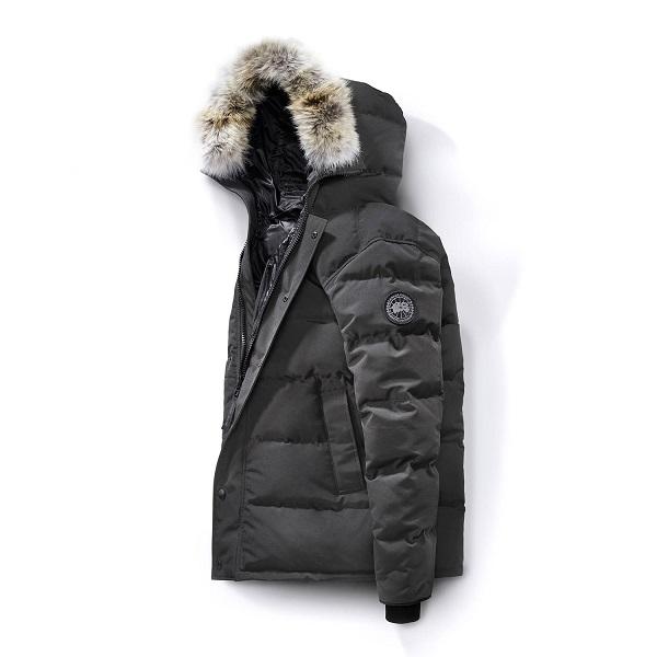 áo parka nam là gì