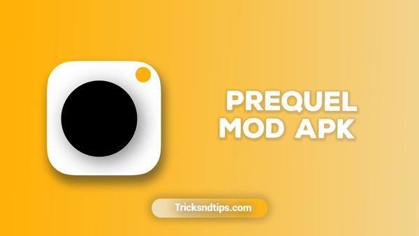 Prequel là app chụp ảnh film đẹp giúp bạn có throwback những năm 2000
