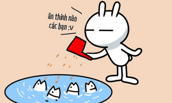 cap ngầu chất lượng cho các bạn trẻ