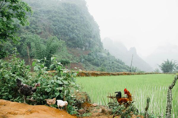 Care&share: Lễ khởi công xây dựng điểm trường Trung Dù, Điện Biên