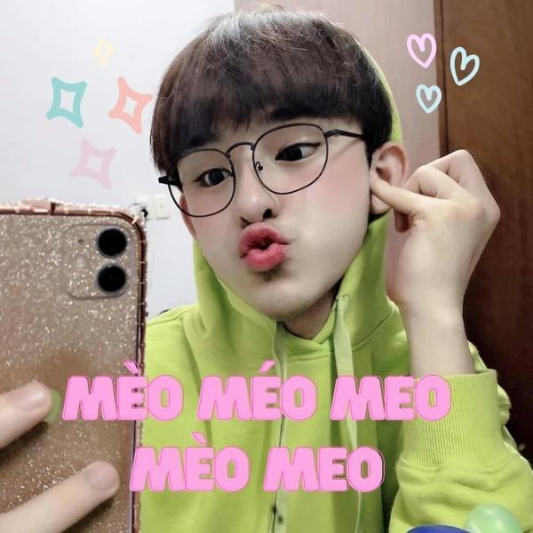 Mèo méo meo từ Trần Đức Bo
