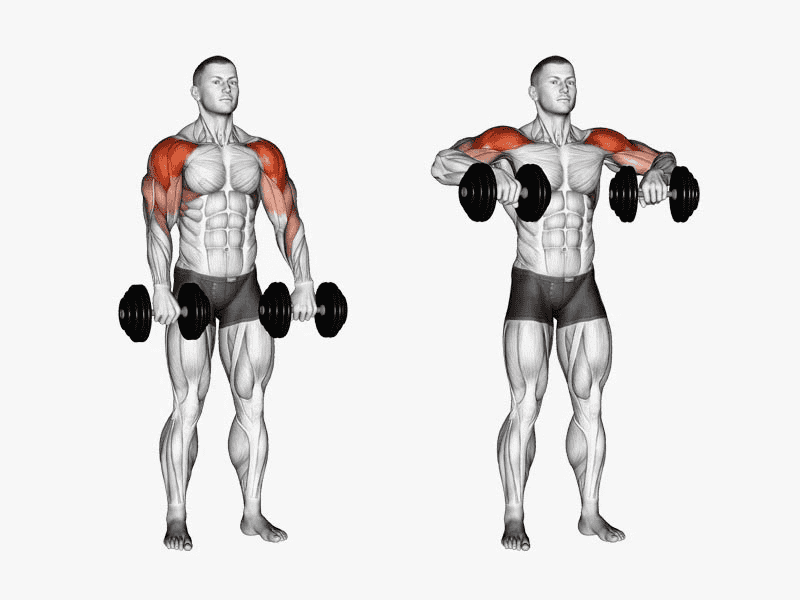Bài tập Dumbbell Upright Row