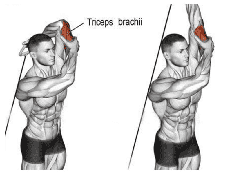 Khi thực hiện bài tập tay nam gập tay kéo cáp, khuỷu tay giữ nâng cao và dây phải được kéo căng