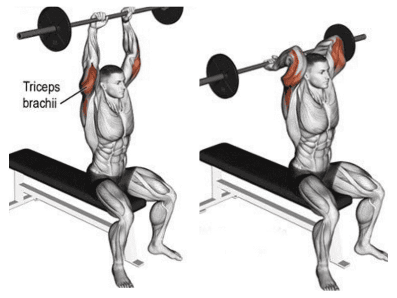 Khi thực hiện bài tập tăng cơ tay này, các bạn hãy lưu ý giữ cho cơ thể không bị dao động 