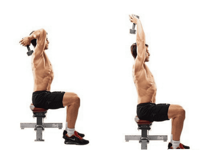 Một bài tập tay nam cực hiệu quả mà Coolmate muốn giới thiệu chính là ngồi đẩy tạ qua đầu