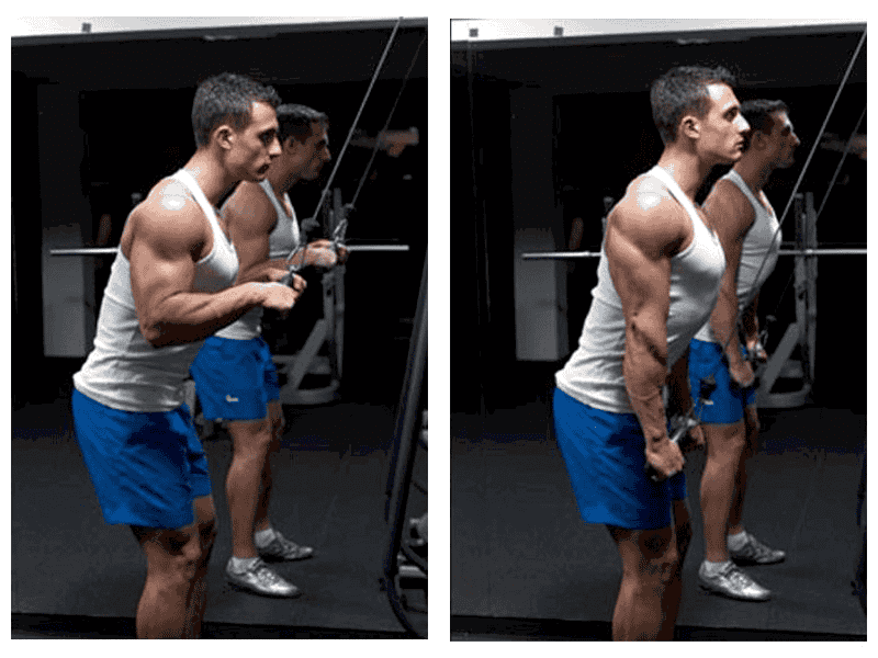 Một trong các bài tập cơ tay được ưa chuộng nhất hiện nay chính là đứng thẳng kéo cáp