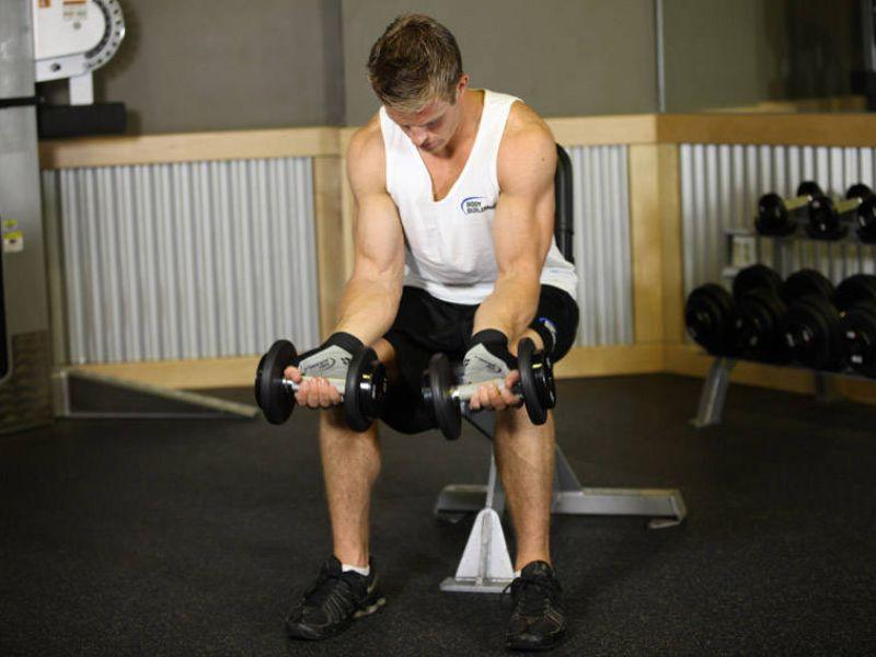 Bài tập Palms-Up Dumbbell Wrist Curl