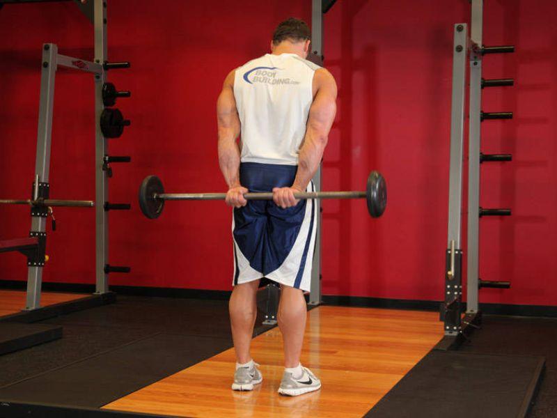 Bài tập Standing Palms-Up Barbell Behind The Back Wrist Curl