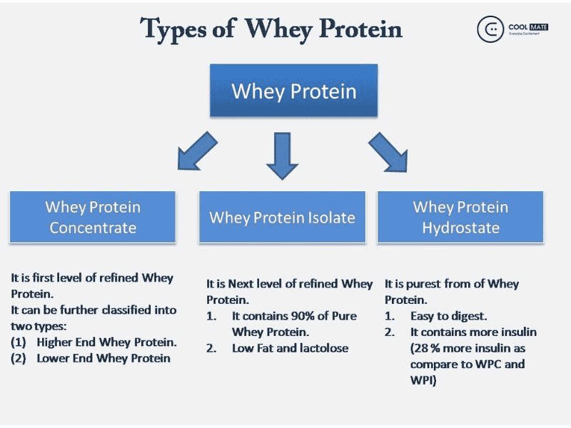 dau-la-loai-whey-protein-tot-nhat-hien-nay-1846
