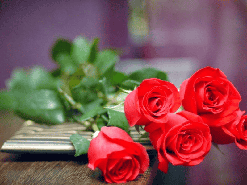 Không nên tặng hoa hồng đỏ cho người yêu