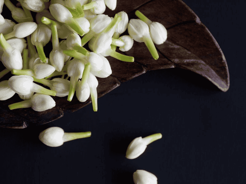 Nguyên liệu làm nước hoa đắt đỏ sở hữu mùi hương đặc biệt và độc đáo