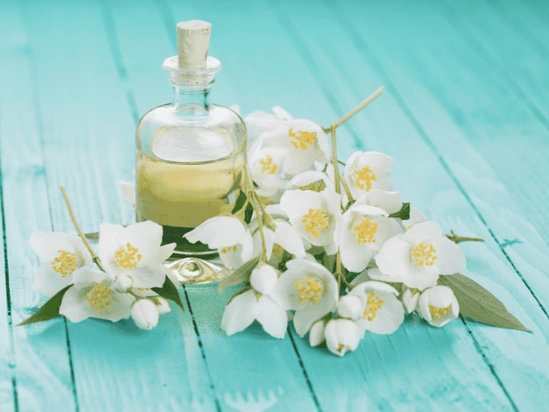 Tinh dầu hoa nhài cực kỳ khó chiết xuất