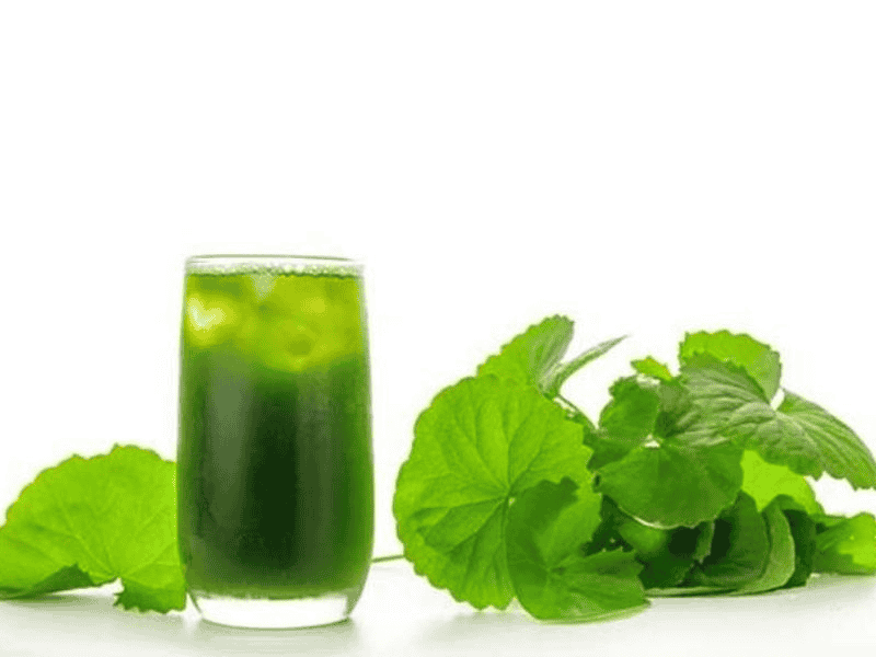 Nước rau má - Thức uống bổ dưỡng, tốt cho tim mạch