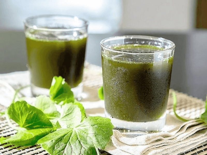 Nước ép rau má có tác dụng gì, bạn đã biết?