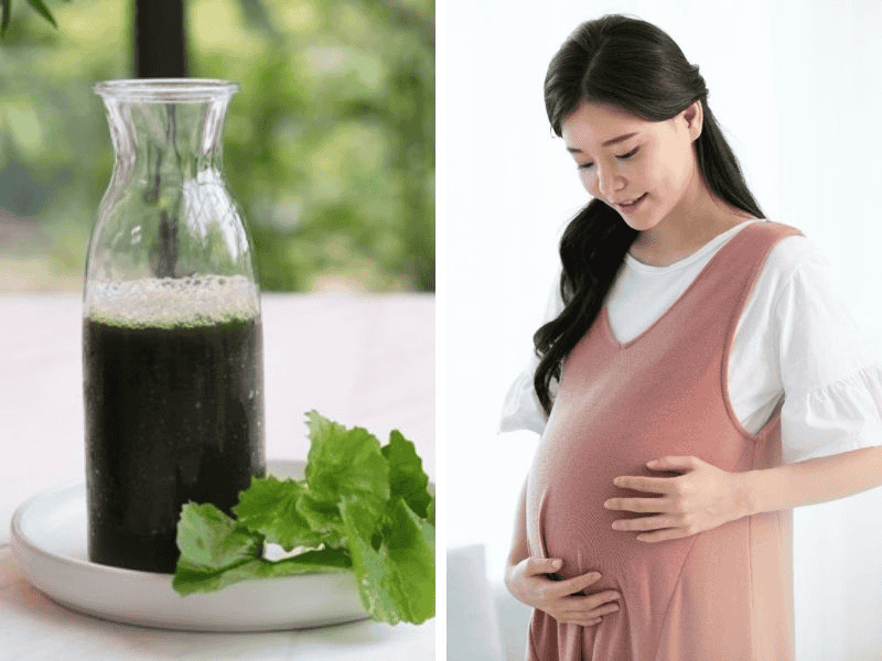 Một vài người không nên uống nước ép từ rau má