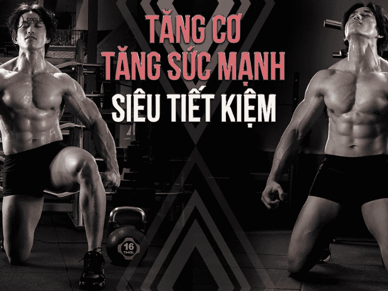 pre-workout-la-gi-thanh-phan-tac-dung-va-cach-dung-cho-gymer-1788