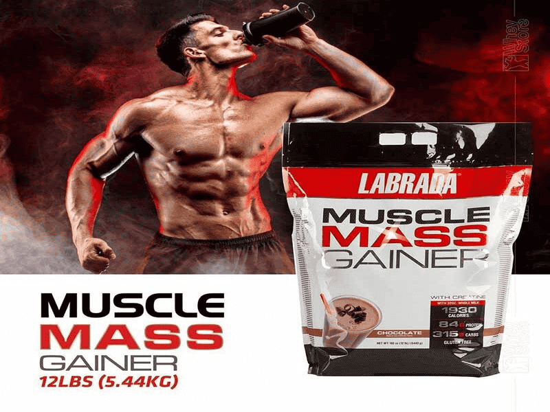 top-07-loai-mass-gainer-1877